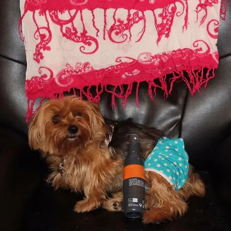 Residencial Algaida Oropesa del Mar